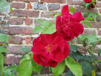 Sissinghurst Castle and Gardens