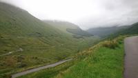 Argyll Forrest