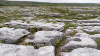 Burren