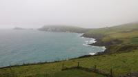 Dingle
