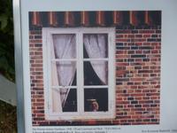 Dangast, Radziwillhaus, Das Fenster meines Nachbarn, Bild