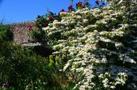 157 Sissinghurst Place and Garden