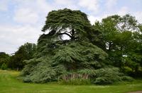 253 West Dean Gardens