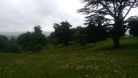 335 Knightshayes Court
