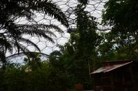 479 Cornwall, Eden Project