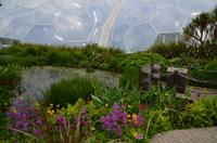 484 Cornwall, Eden Project