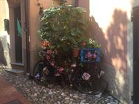 auf dem Weg zum Punta Manara