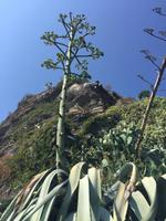 Wanderung von Corniglia nach Vernazza