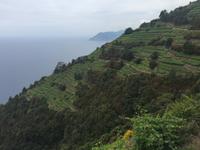 Wanderung von Corniglia nach Manarola