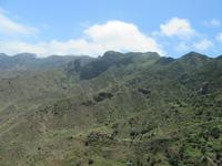 Roque Las Bodegas (2)