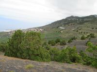 Vulkan San Antonio (4)