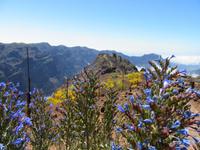 Roque Los Muchachos (27)