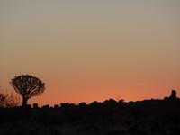 Tage Rundreise Namibia – Die Erlebnistour mit  Kalahari – Fish River-Canyon – Lüderitz – Namib – Swakopmund – Erongo Gebirge – Etosha Nationalpark – Windhoek (45)