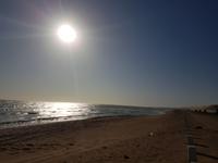 Tage Rundreise Namibia – Die Erlebnistour mit  Kalahari – Fish River-Canyon – Lüderitz – Namib – Swakopmund – Erongo Gebirge – Etosha Nationalpark – Windhoek (566)