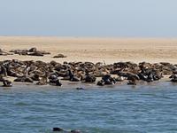 Tage Rundreise Namibia – Die Erlebnistour mit  Kalahari – Fish River-Canyon – Lüderitz – Namib – Swakopmund – Erongo Gebirge – Etosha Nationalpark – Windhoek (799)