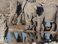 Tage Rundreise Namibia – Die Erlebnistour mit  Kalahari – Fish River-Canyon – Lüderitz – Namib – Swakopmund – Erongo Gebirge – Etosha Nationalpark – Windhoek (1319)