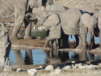 Tage Rundreise Namibia – Die Erlebnistour mit  Kalahari – Fish River-Canyon – Lüderitz – Namib – Swakopmund – Erongo Gebirge – Etosha Nationalpark – Windhoek (1322)