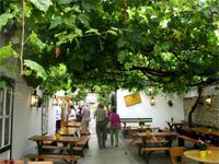 Zum Heurigen in Gumpoldskirchen