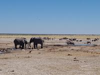 Tage Rundreise Namibia – Die Erlebnistour mit  Kalahari – Fish River-Canyon – Lüderitz – Namib – Swakopmund – Erongo Gebirge – Etosha Nationalpark – Windhoek (1573)