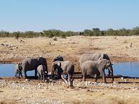 Tage Rundreise Namibia – Die Erlebnistour mit  Kalahari – Fish River-Canyon – Lüderitz – Namib – Swakopmund – Erongo Gebirge – Etosha Nationalpark – Windhoek (1758)