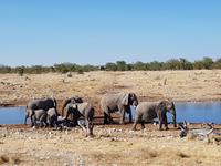 Tage Rundreise Namibia – Die Erlebnistour mit  Kalahari – Fish River-Canyon – Lüderitz – Namib – Swakopmund – Erongo Gebirge – Etosha Nationalpark – Windhoek (1760)