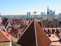 Blick auf Tallin