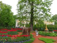 Peterhof Garten