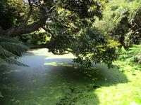 The Lost Gardens of Heligan