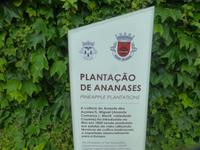 P1180206