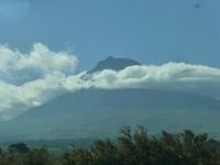 Pico