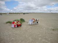 Insel Fanoe