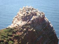 Helgoland