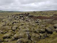 020_Eidhraun Lavafeld
