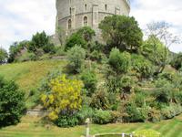 Windsor