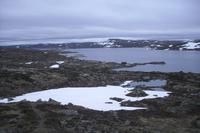 Hardangervidda
