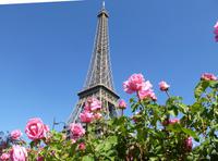 Eiffelturm (8)