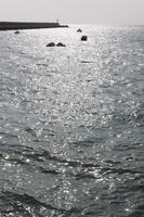 IMG_1685_An der Nordostkueste von Jersey