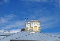 Schloss Rundale (Ruhenthal)