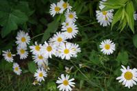 Unterwegs in Lettland