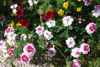 Unterwegs in Lettland