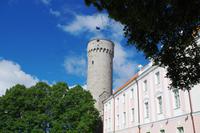 Tallinn - Langer Herrmann