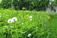 Lahemaa Nationalpark