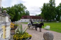 Lahemaa Nationalpark - Gutshaus Palmse