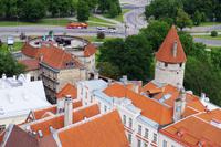 Abschied von Tallinn - auf der Olafskirche
