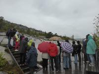 Alta - Felszeichnungen 