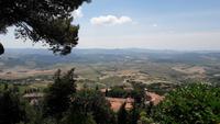 83_Volterra_9