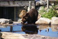 Ein Blick in den Spiegel muss sein!