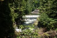 An der Lachszuchtstation