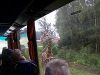 Serengeti Park Hodenhagen II