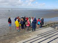 Büsum, Wattwanderung mit Bodo